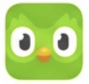 Duolingo logo
